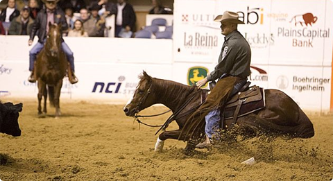 Cow sense goes far here.