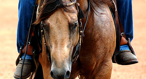 A great mind and impeccable athleticism.